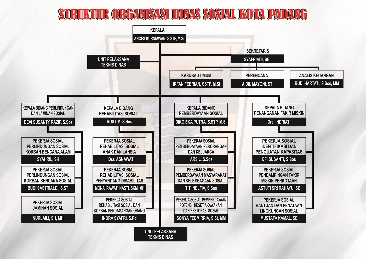 Struktur Organisasi Dinas Sosial Kota Padang